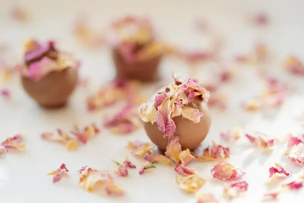 Kaszinó Vegas Spins Android/iOS Alkalmazás